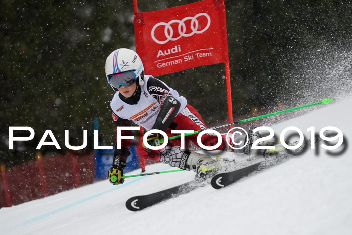 DSV Schülercup Finale U14 RS 08.03.2019