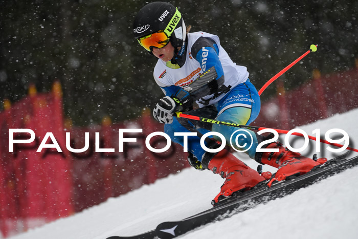 DSV Schülercup Finale U14 RS 08.03.2019