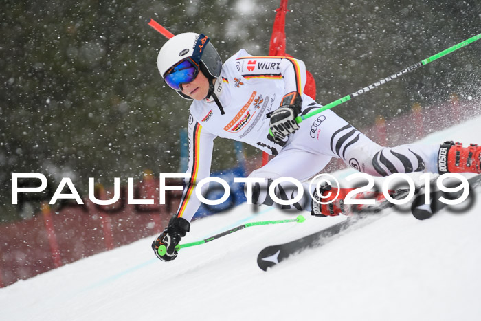 DSV Schülercup Finale U14 RS 08.03.2019