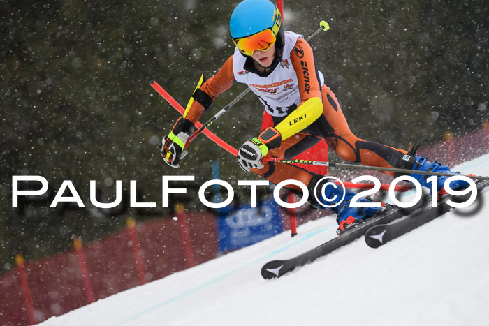 DSV Schülercup Finale U14 RS 08.03.2019