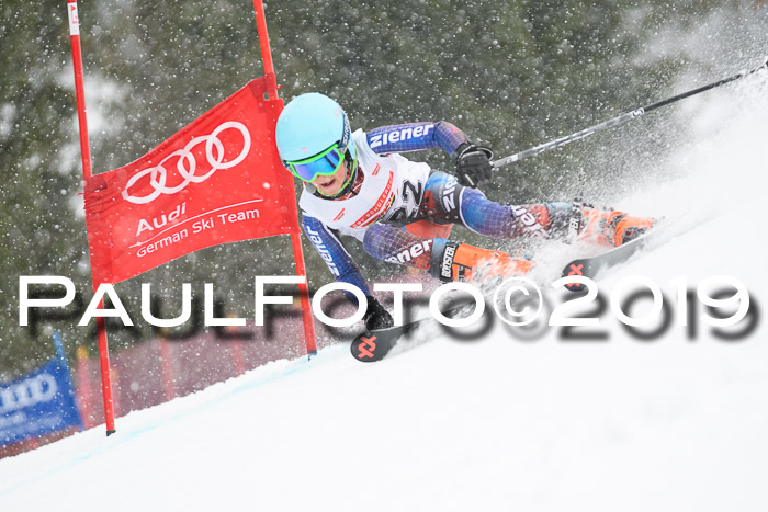 DSV Schülercup Finale U14 RS 08.03.2019