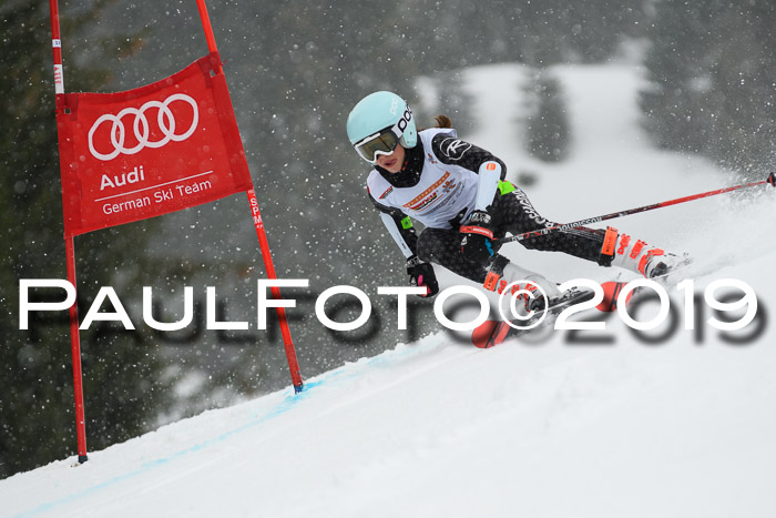 DSV Schülercup Finale U14 RS 08.03.2019