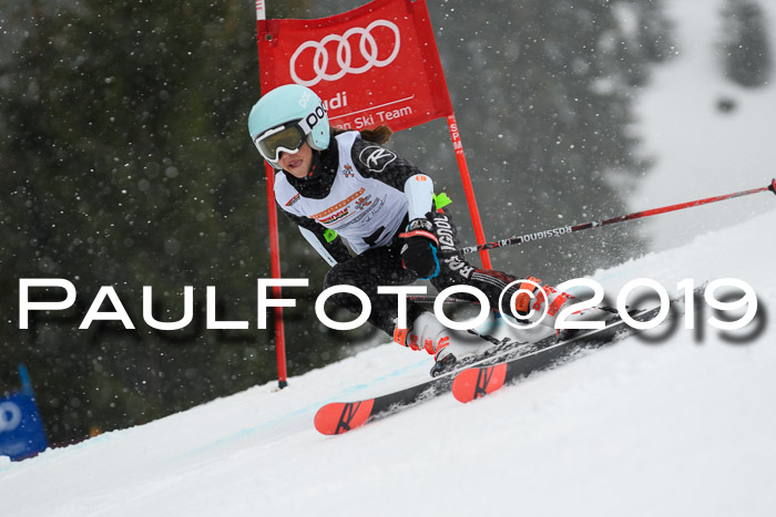 DSV Schülercup Finale U14 RS 08.03.2019