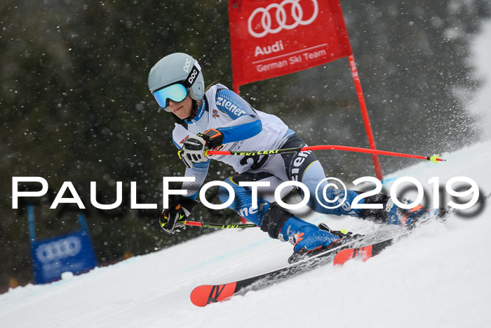 DSV Schülercup Finale U14 RS 08.03.2019