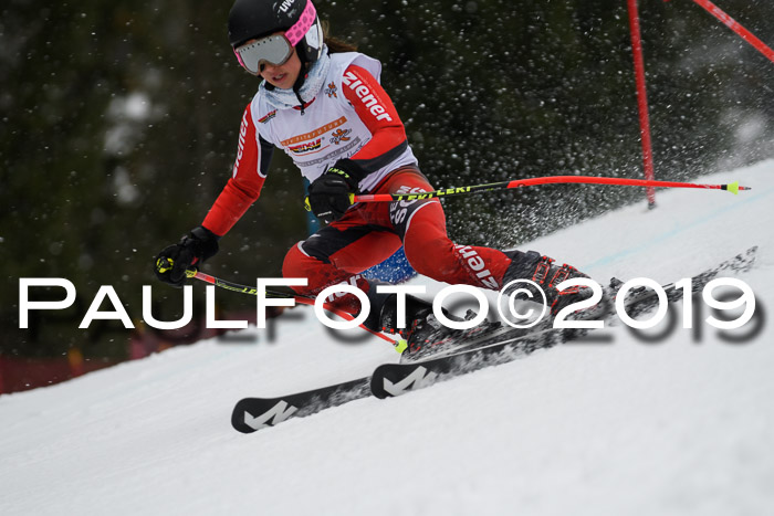 DSV Schülercup Finale U14 RS 08.03.2019