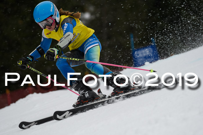 DSV Schülercup Finale U14 RS 08.03.2019