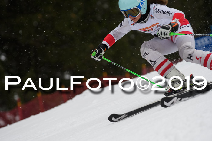 DSV Schülercup Finale U14 RS 08.03.2019