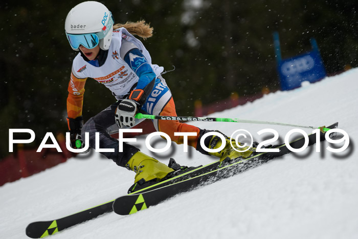 DSV Schülercup Finale U14 RS 08.03.2019
