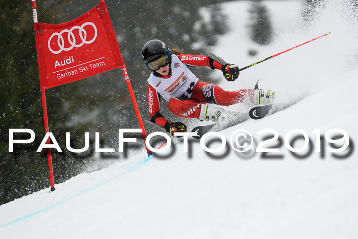 DSV Schülercup Finale U14 RS 08.03.2019