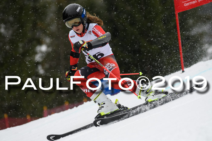 DSV Schülercup Finale U14 RS 08.03.2019