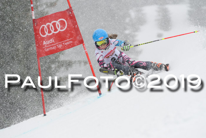 DSV Schülercup Finale U14 RS 08.03.2019