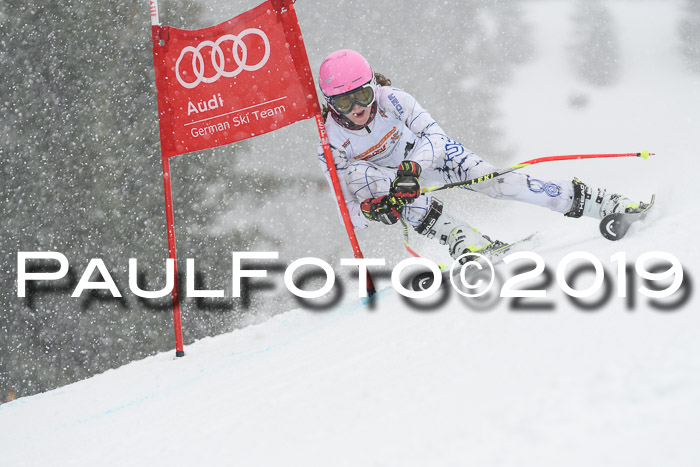 DSV Schülercup Finale U14 RS 08.03.2019