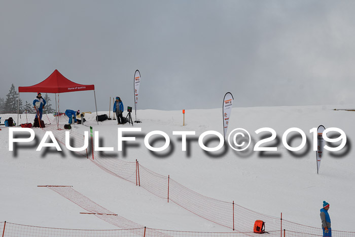Dt. Schülercup Finale U16 Riesenslalom 08.03.2019