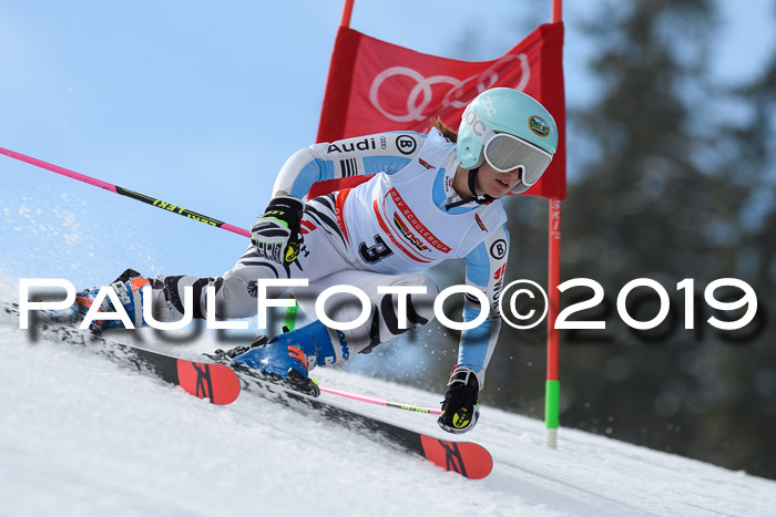 Dt. Schülercup Finale U16 Riesenslalom 08.03.2019