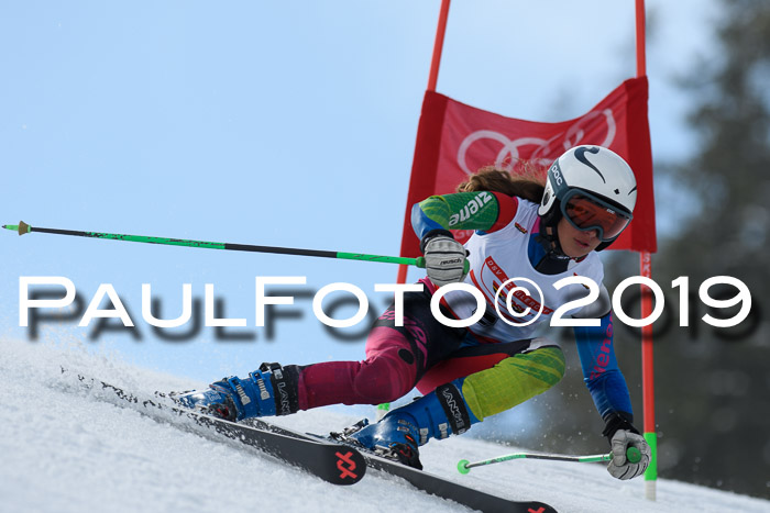 Dt. Schülercup Finale U16 Riesenslalom 08.03.2019