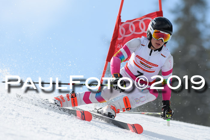 Dt. Schülercup Finale U16 Riesenslalom 08.03.2019