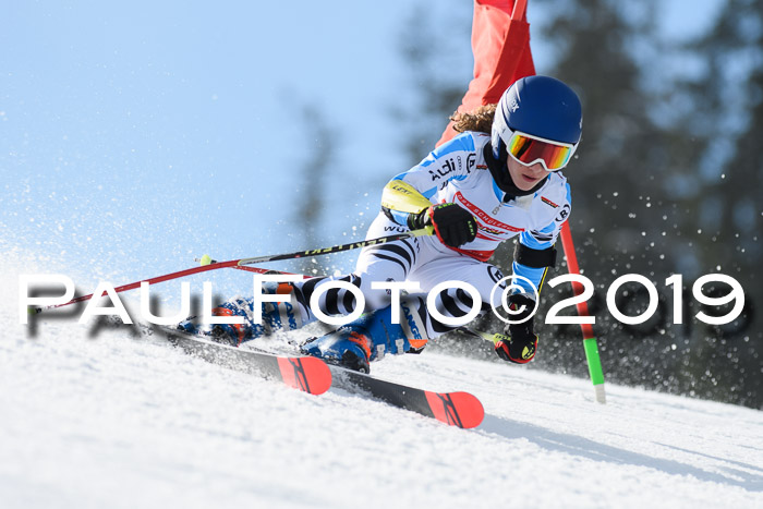 Dt. Schülercup Finale U16 Riesenslalom 08.03.2019