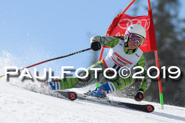Dt. Schülercup Finale U16 Riesenslalom 08.03.2019