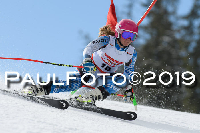 Dt. Schülercup Finale U16 Riesenslalom 08.03.2019
