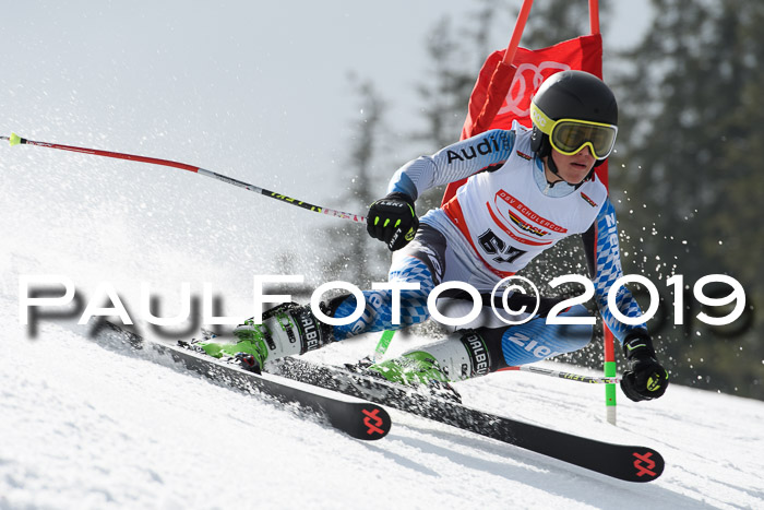 Dt. Schülercup Finale U16 Riesenslalom 08.03.2019