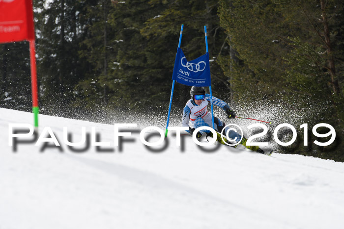 Dt. Schülercup Finale U16 Riesenslalom 08.03.2019