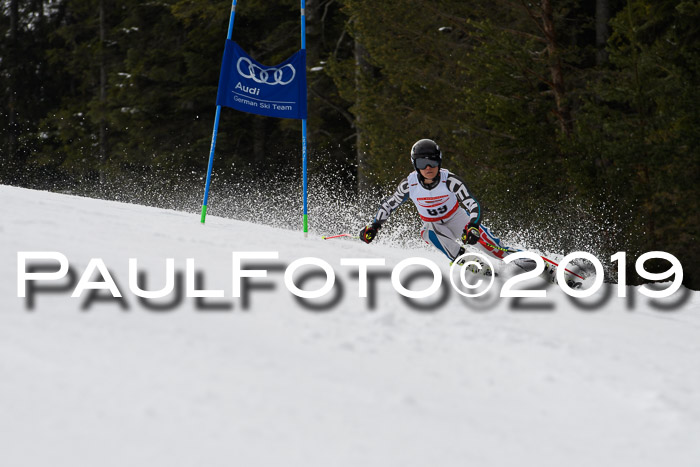 Dt. Schülercup Finale U16 Riesenslalom 08.03.2019