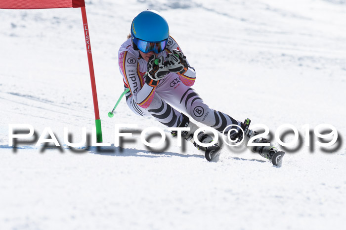 Dt. Schülercup Finale U16 Riesenslalom 08.03.2019