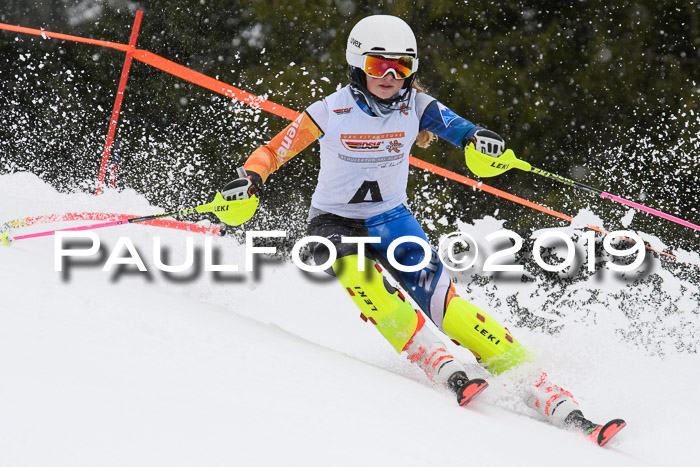 DSV Schülercup U14 Finale Slalom 09.03.2019