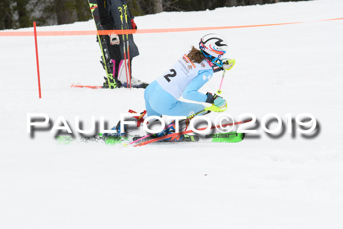 DSV Schülercup U14 Finale Slalom 09.03.2019