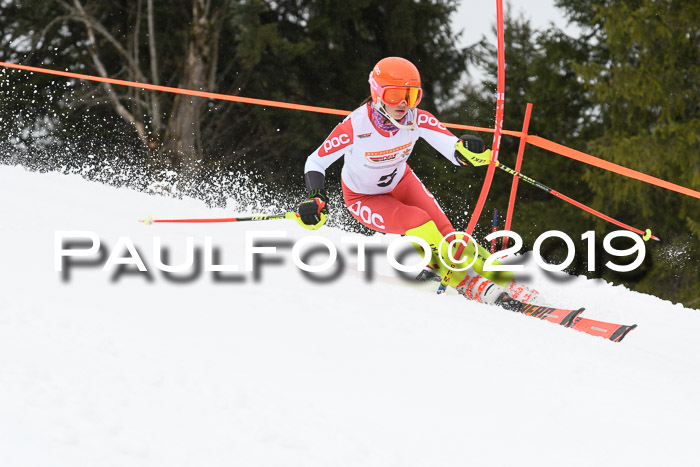 DSV Schülercup U14 Finale Slalom 09.03.2019