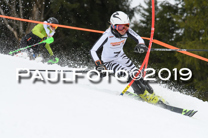 DSV Schülercup U14 Finale Slalom 09.03.2019