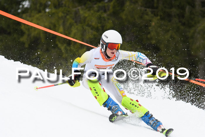 DSV Schülercup U14 Finale Slalom 09.03.2019