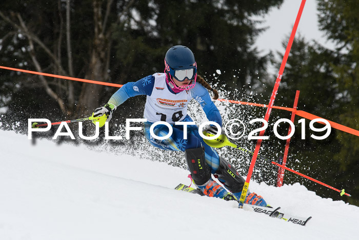 DSV Schülercup U14 Finale Slalom 09.03.2019