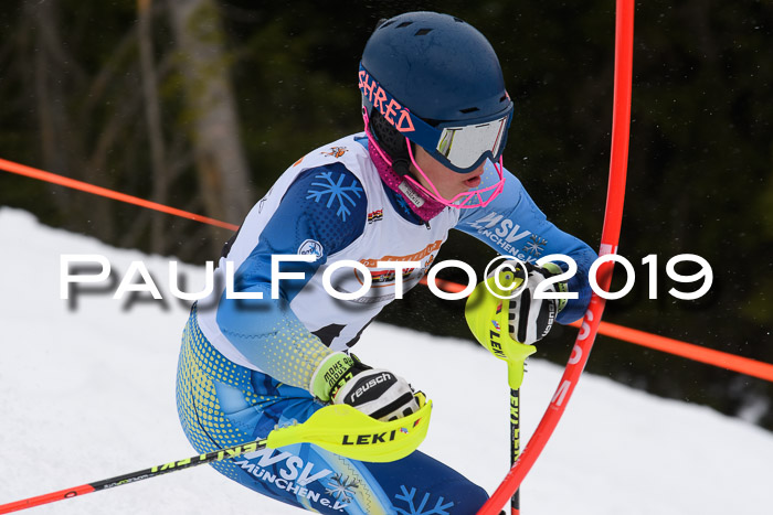 DSV Schülercup U14 Finale Slalom 09.03.2019