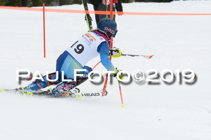 DSV Schülercup U14 Finale Slalom 09.03.2019
