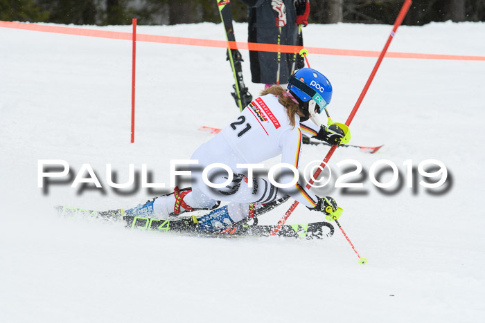 DSV Schülercup U14 Finale Slalom 09.03.2019