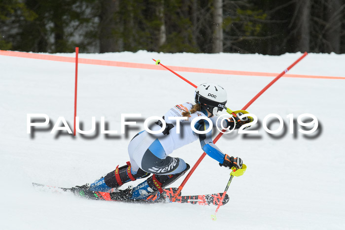 DSV Schülercup U14 Finale Slalom 09.03.2019