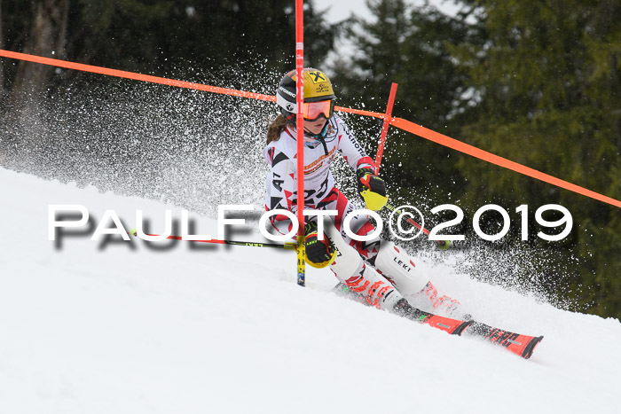 DSV Schülercup U14 Finale Slalom 09.03.2019