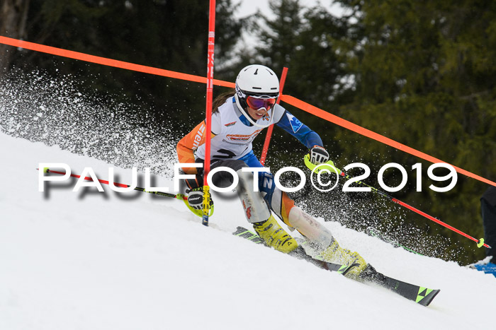 DSV Schülercup U14 Finale Slalom 09.03.2019