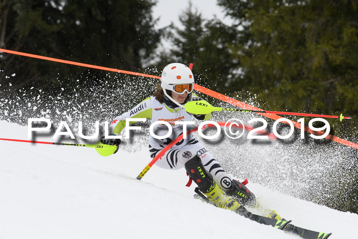DSV Schülercup U14 Finale Slalom 09.03.2019