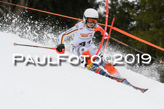 DSV Schülercup U14 Finale Slalom 09.03.2019