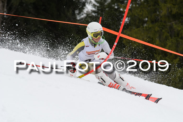 DSV Schülercup U14 Finale Slalom 09.03.2019