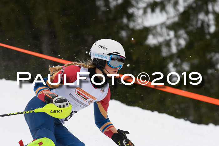 DSV Schülercup U14 Finale Slalom 09.03.2019