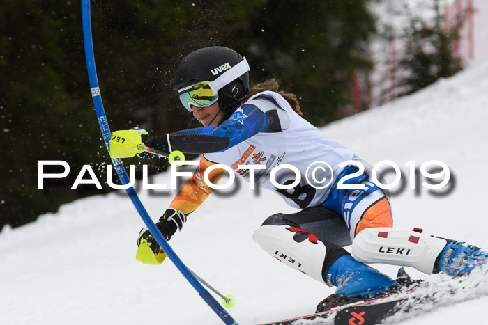 DSV Schülercup U14 Finale Slalom 09.03.2019