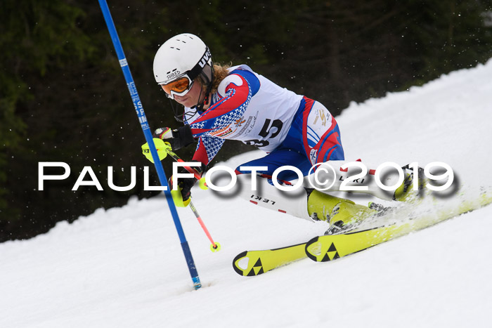 DSV Schülercup U14 Finale Slalom 09.03.2019