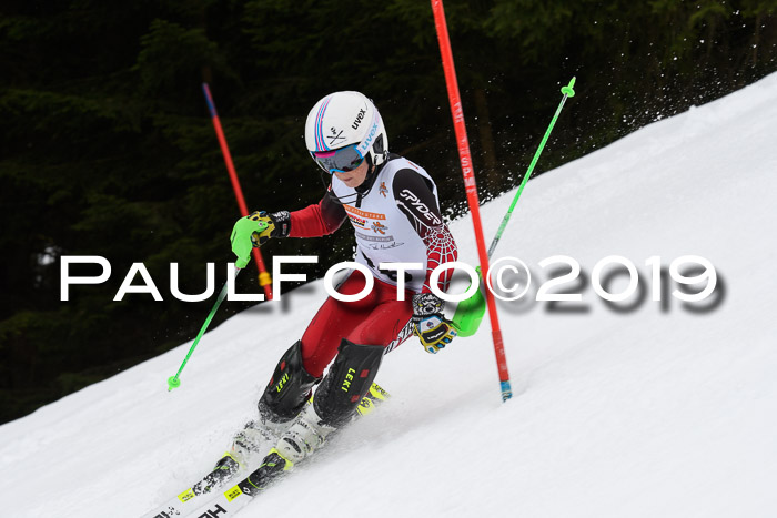 DSV Schülercup U14 Finale Slalom 09.03.2019