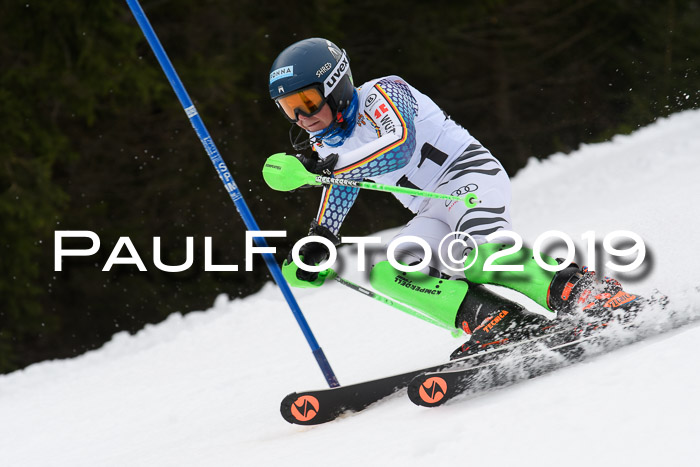 DSV Schülercup U14 Finale Slalom 09.03.2019