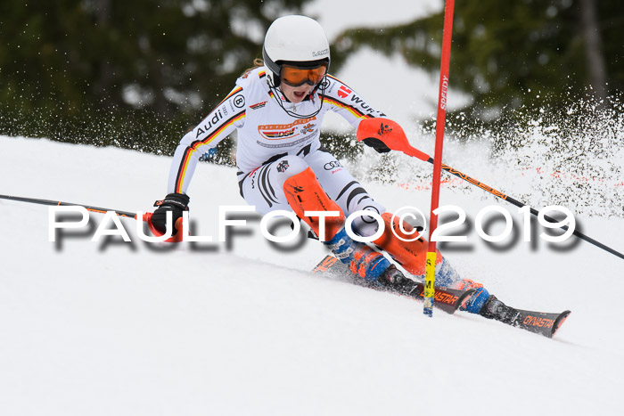 DSV Schülercup U14 Finale Slalom 09.03.2019