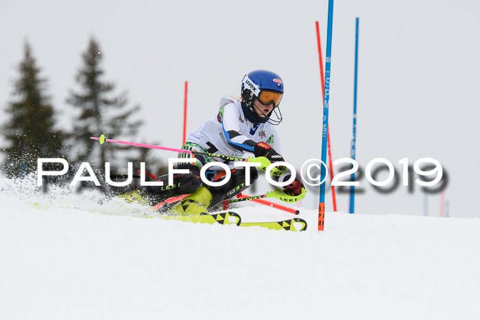 DSV Schülercup U14 Finale Slalom 09.03.2019