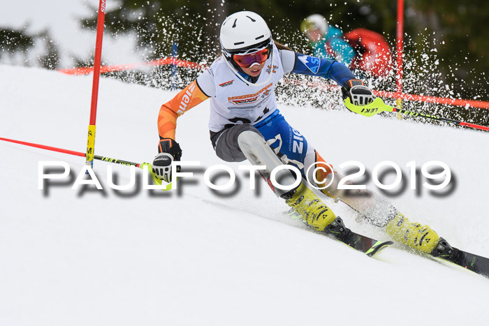 DSV Schülercup U14 Finale Slalom 09.03.2019